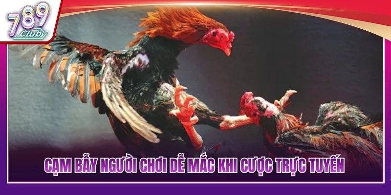 Top Kinh Nghiệm Cá Cược Đá Gà Đỉnh Cao Từ Các Sư Kê Lâu Năm 4 Những rủi ro và cạm bẫy tiềm ẩn khi cá cược trực tuyến