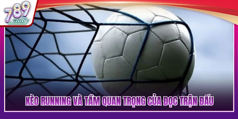 Vai trò của việc đọc thế trận khi bắt kèo rung 