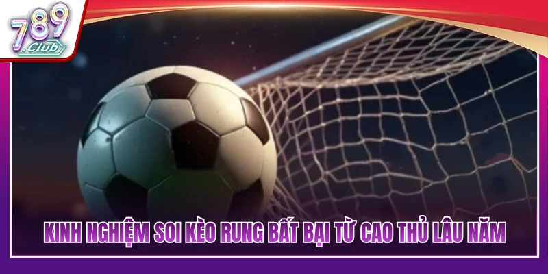 Kinh nghiệm soi kèo rung hiệu quả từ người chơi lâu năm 