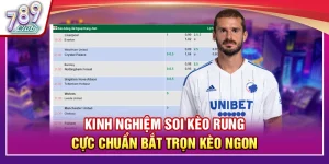 Kinh Nghiệm Soi Kèo Rung Cực Chuẩn Bắt Trọn Kèo Ngon 